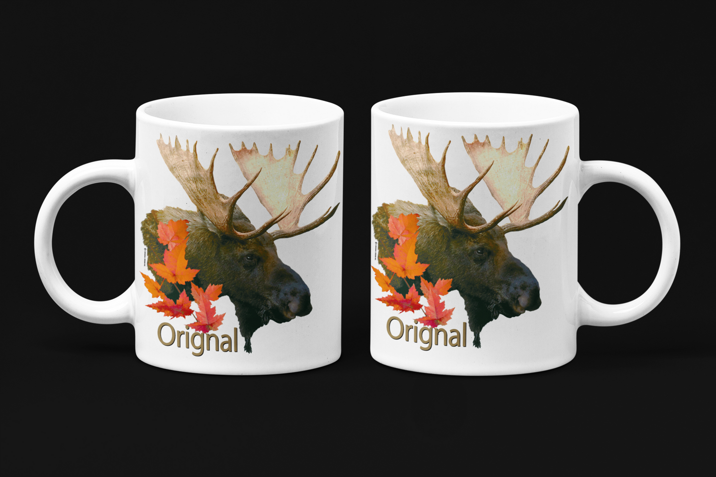 Collection: Animaux du Québec, orignal!