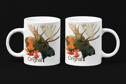 Collection: Animaux du Québec, orignal!